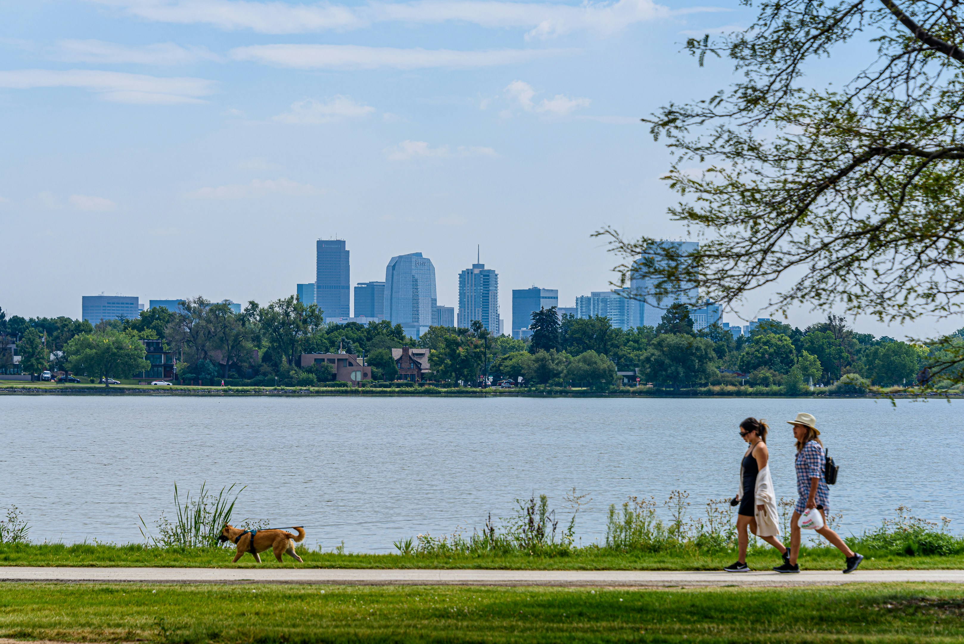 Homes in Sloan's Lake, Denver